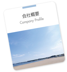 COMPANY PROFILE